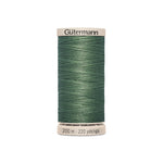 Gütermann Quilt- und Patchworkgarn 200 m Grün 8724 - Ribes y Casals