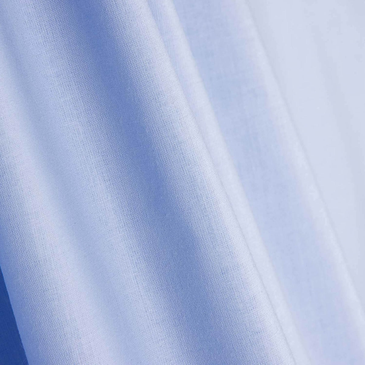 Gemischtes Blatt Blau - Ribes y Casals