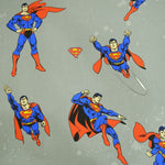 Superman-Blatt - Ribes y Casals