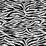 Zebra Baumwollköper - Ribes y Casals