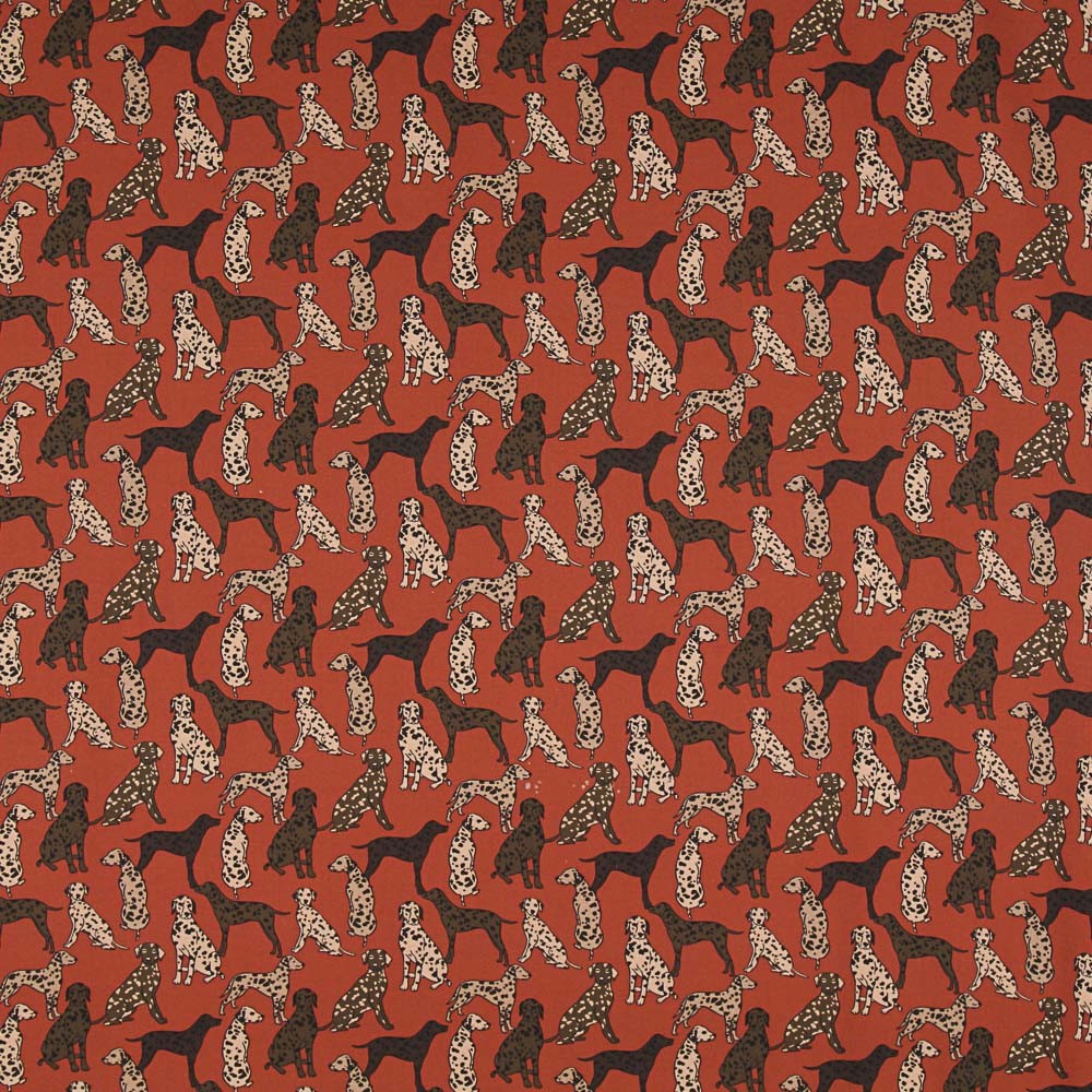 Baumwolle Twill Hunde Karamell - Ribes y Casals