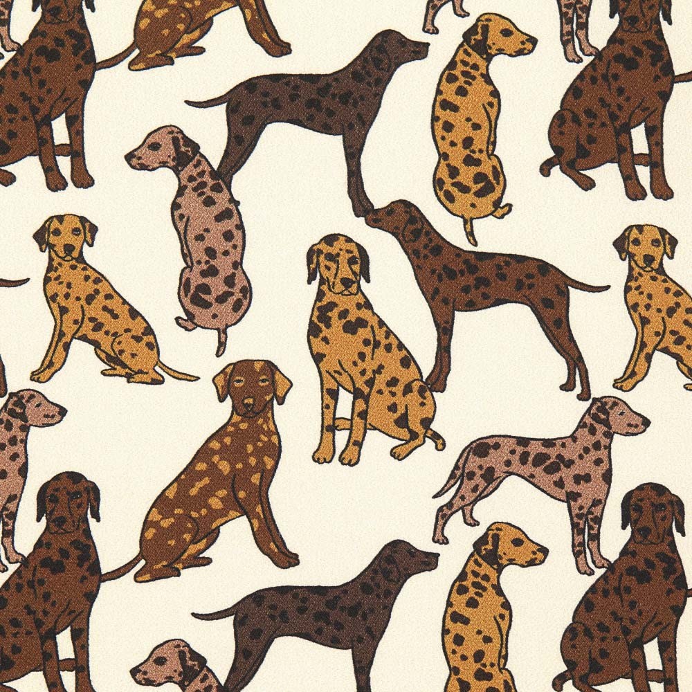 Twill Baumwolle Hunde Roh - Ribes y Casals