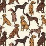 Twill Baumwolle Hunde Roh - Ribes y Casals