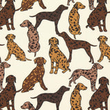 Twill Baumwolle Hunde Roh - Ribes y Casals