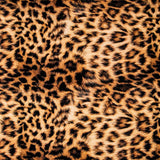 Leopard Baumwollköper - Ribes y Casals