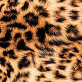 Leopard Baumwollköper - Ribes y Casals