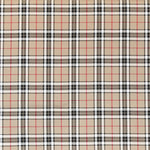 Beige karierter Twill - Ribes y Casals