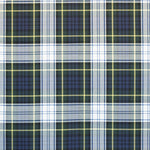 Twill Plaid Grün Blau - Ribes y Casals