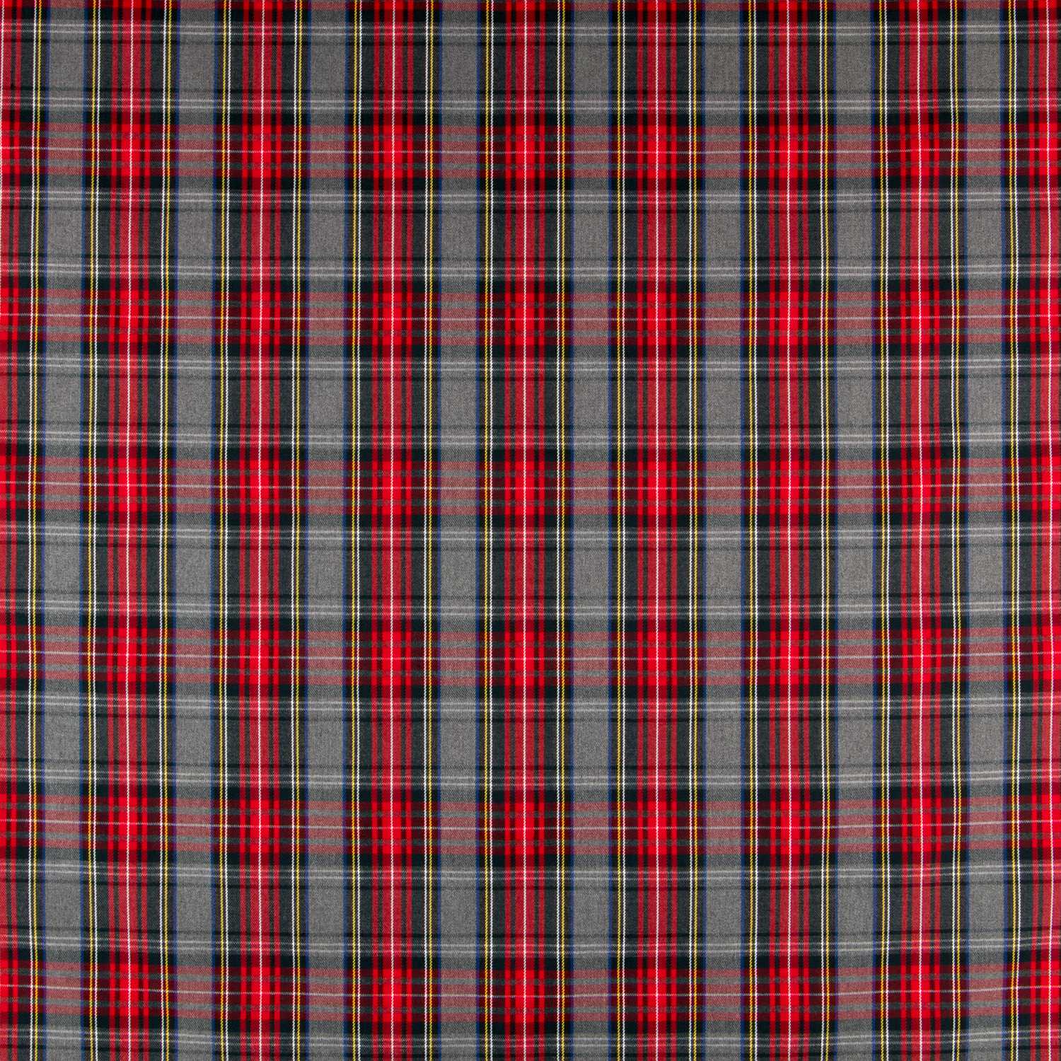 Holzfäller Grau karierter Twill - Ribes y Casals
