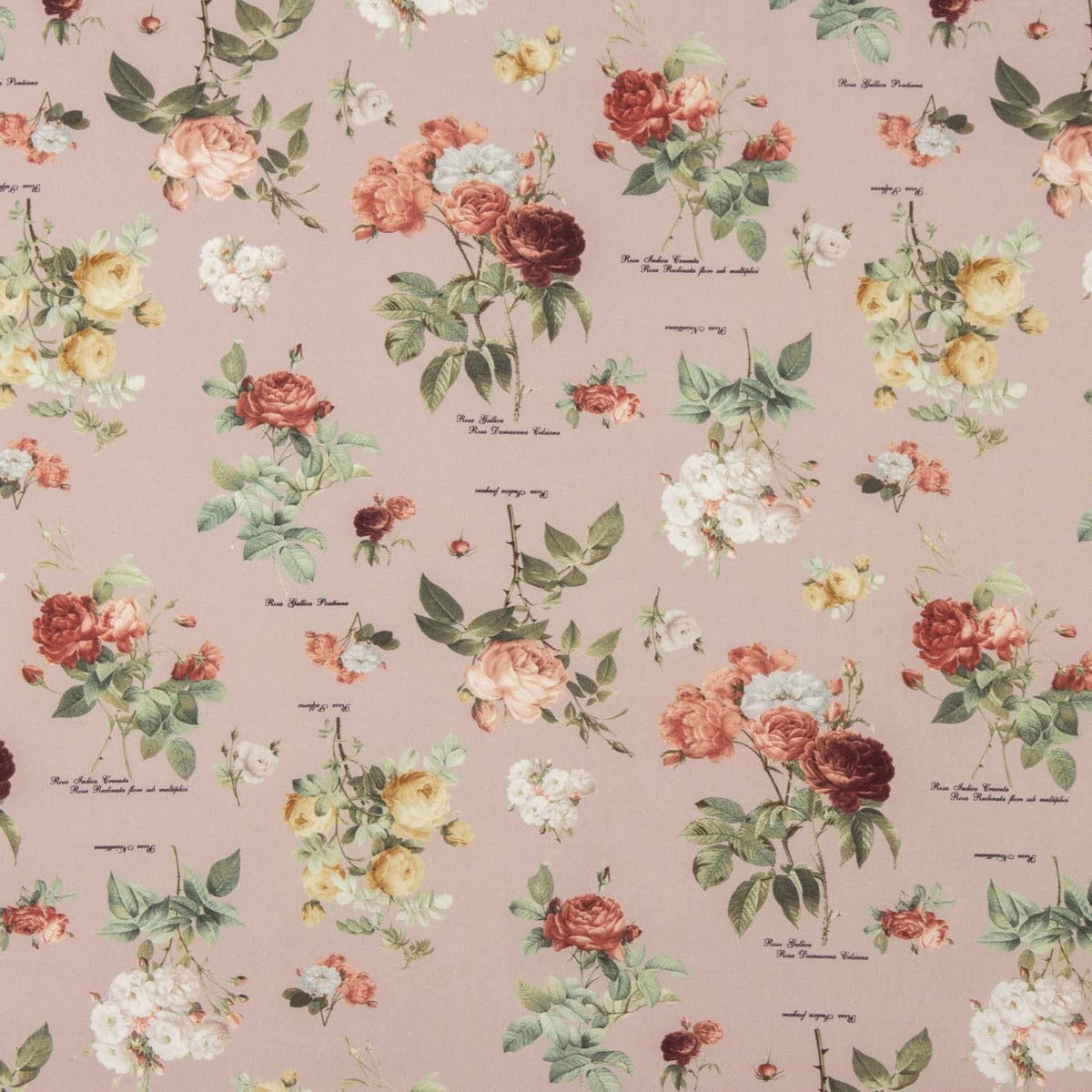 Feiner Vintage-Köper in Rosa - Ribes y Casals