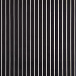 Satin Cotton Stretch Cotton Stripes Schwarz - Ribes y Casals