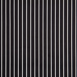 Satin Cotton Stretch Cotton Stripes Schwarz - Ribes y Casals