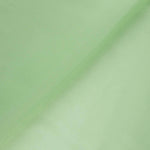 Natürlicher Seidensatin Mintgrün - Ribes y Casals