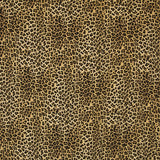Satin Matt Leopard Kamel - Ribes y Casals