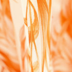 Satin Polyester Dschungel Orange - Ribes y Casals