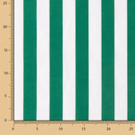 Twill Rayon Grün gestreift - Ribes y Casals