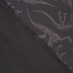 Softshell Jurassic Grau - Ribes y Casals