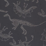 Softshell Jurassic Grau - Ribes y Casals