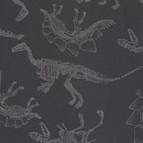 Softshell Jurassic Grau - Ribes y Casals