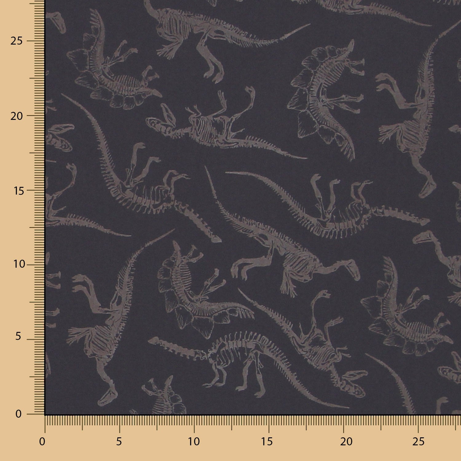 Softshell Jurassic Grau - Ribes y Casals
