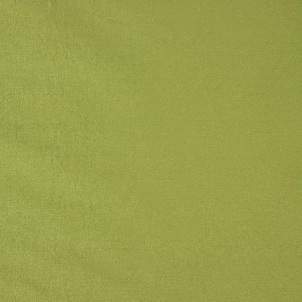 Reststück Taft, einfarbig, pistaziengrün – verschiedene Maße x Breite 140 cm - Ribes y Casals