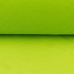 Pistazien-Canvas-Stoff - Ribes y Casals