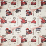 Disney Cars Rotes Rohgewebe - Ribes y Casals