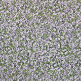 Lavendelblume Baumwollstoff bedruckt - Ribes y Casals