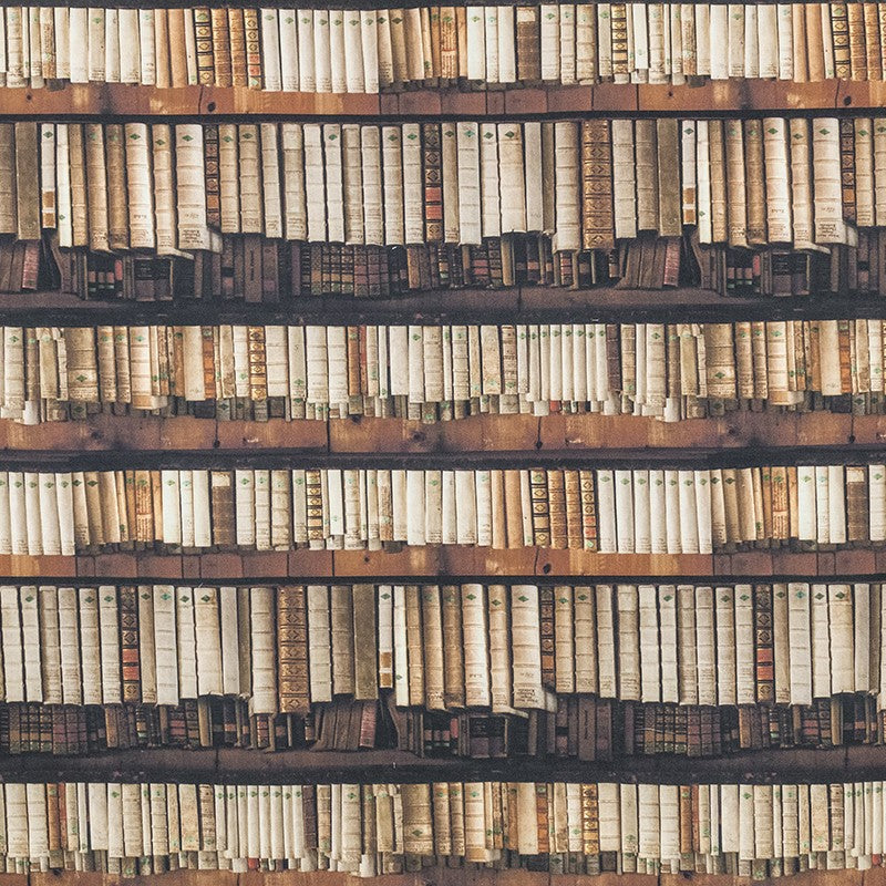 Bedruckter Stoff Baumwolle Bücher Bücher Braun - Ribes y Casals
