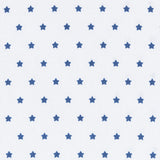 Stoff Sterne 5mm Blau - Ribes y Casals