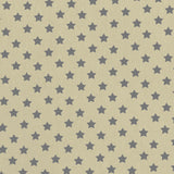 Stoff Sterne Grau Beige Hintergrund - Ribes y Casals