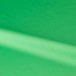 Fama Stretch Grün Chroma - Ribes y Casals