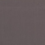 Canvas Segeltuch Baumwolle Grau - Ribes y Casals