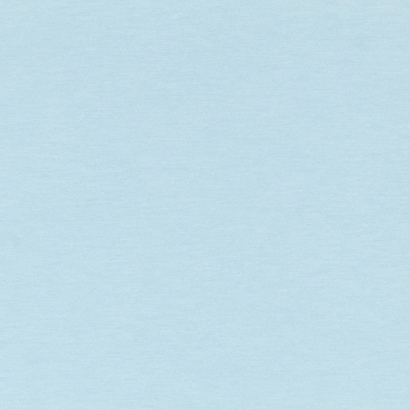 Hellblauer Canvas-Stoff - Ribes y Casals