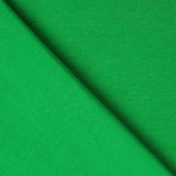 Stoffrest: Grüner Chroma-Canvas – verschiedene Maße x 280 cm Breite - Ribes y Casals