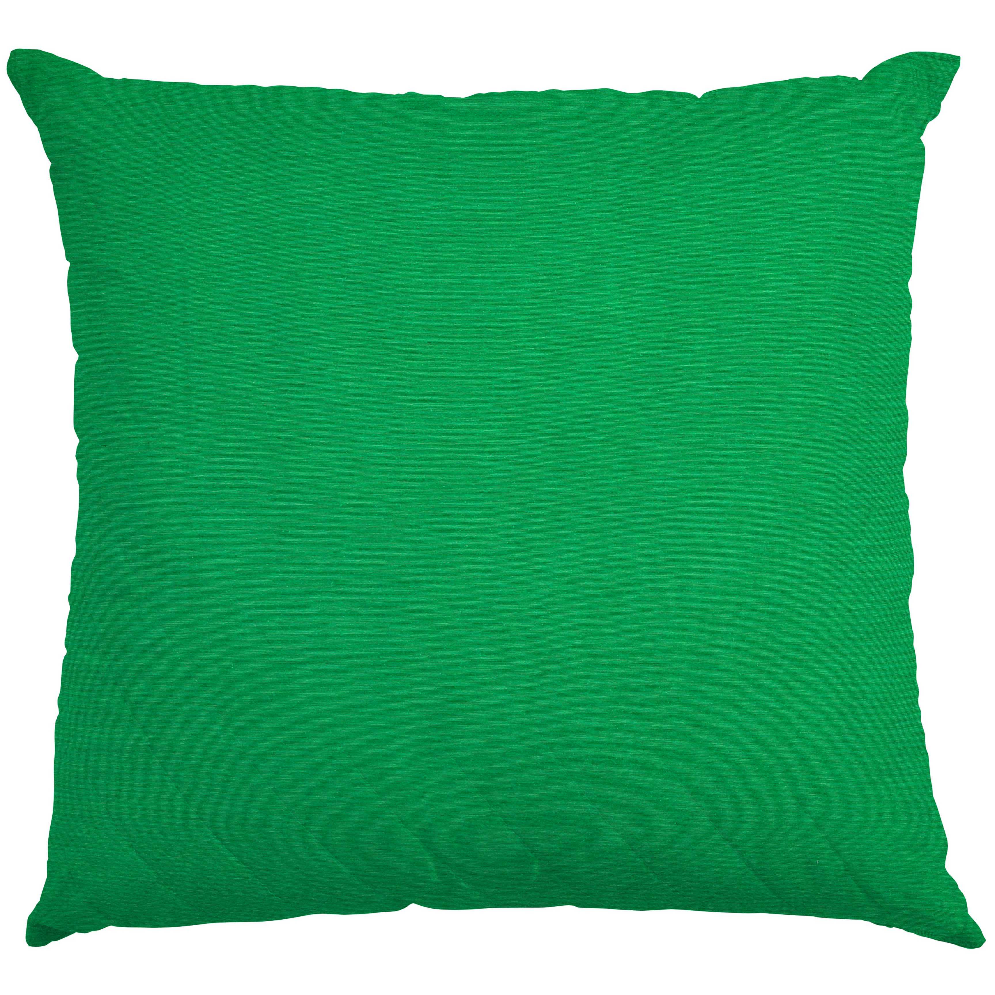Stoffrest: Grüner Chroma-Canvas – verschiedene Maße x 280 cm Breite - Ribes y Casals