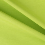 Pistaziengrüner Canvas-Stoff - Ribes y Casals