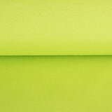 Pistaziengrüner Canvas-Stoff - Ribes y Casals