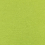 Pistaziengrüner Canvas-Stoff - Ribes y Casals