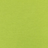 Pistaziengrüner Canvas-Stoff - Ribes y Casals