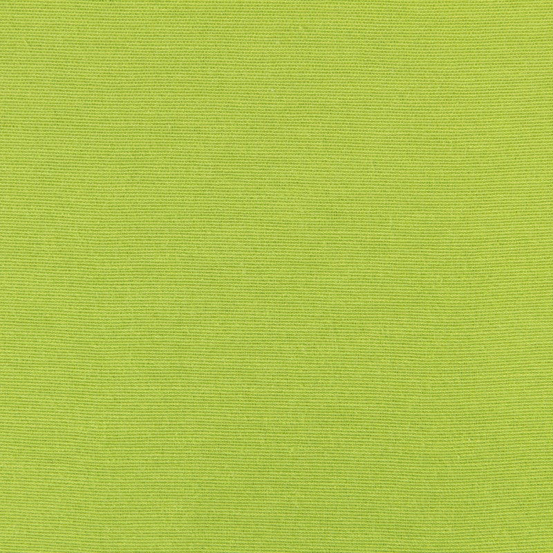Pistaziengrüner Canvas-Stoff - Ribes y Casals