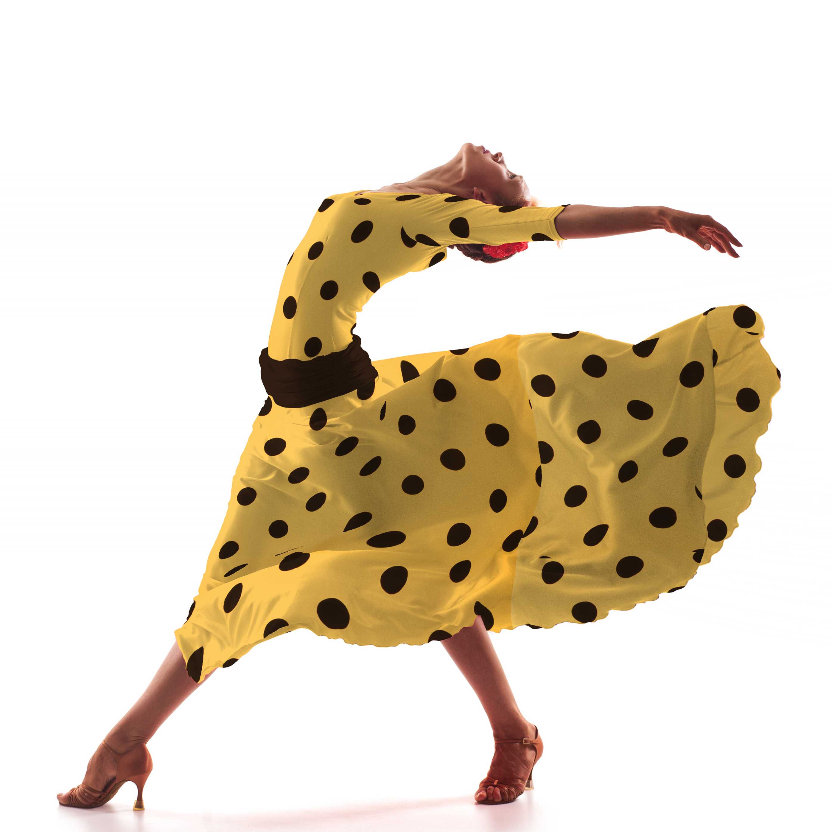 Polka Dots Stoff Schwarz 55mm Albero - Ribes y Casals