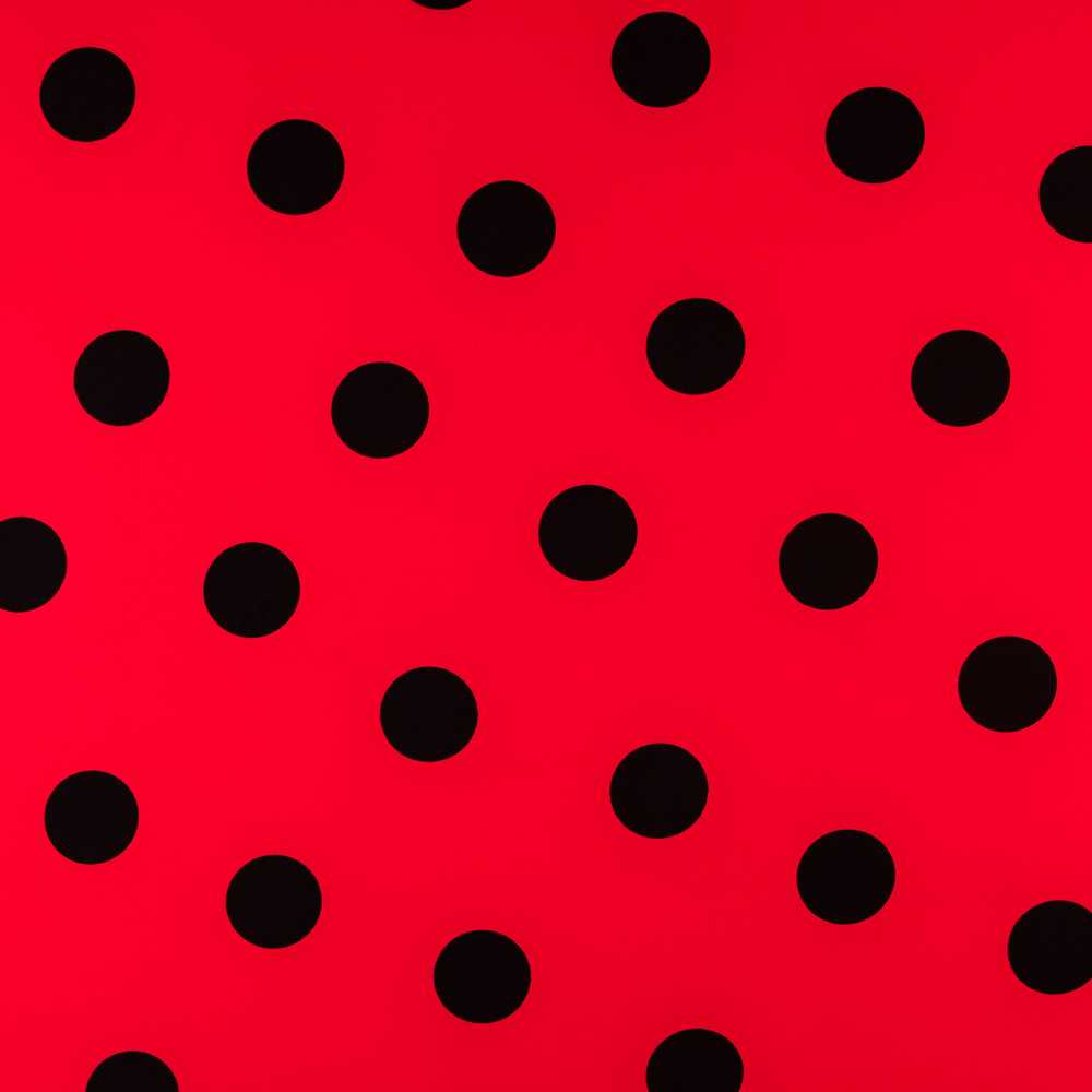 Polka-Dot-Stoff Schwarz 55mm Rot - Ribes y Casals