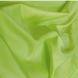 Pistazie Glänzendes Lycra-Gewebe - Ribes y Casals