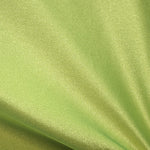 Pistazie Glänzendes Lycra-Gewebe - Ribes y Casals