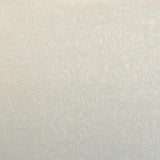 Jacquard-Neopren-Gewebe Ecru - Ribes y Casals