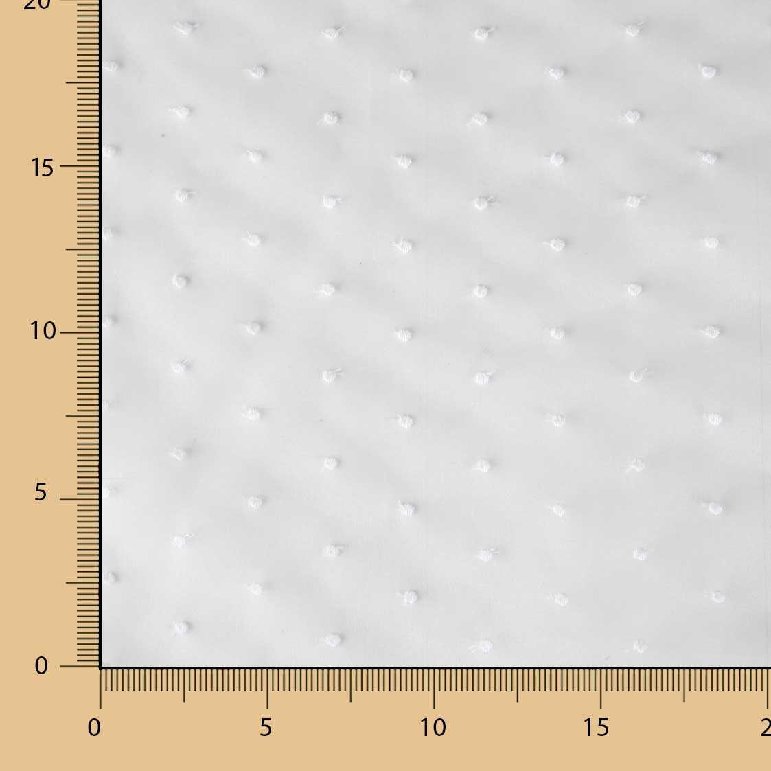 Optisch weißer bestickter Plumeti-Stickerei Organza-Stoff - Ribes y Casals