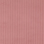 Breiter Cord-Stoff Nude - Ribes y Casals