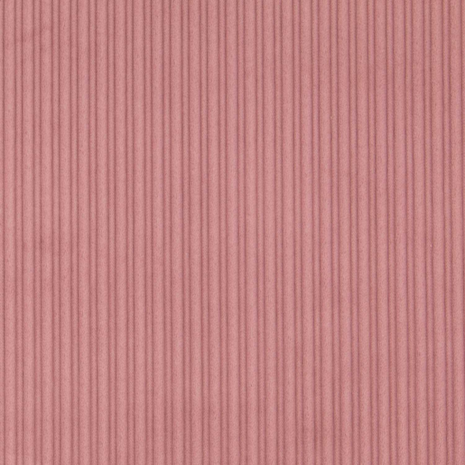 Breiter Cord-Stoff Nude - Ribes y Casals