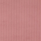 Breiter Cord-Stoff Nude - Ribes y Casals